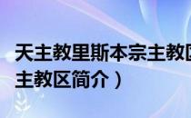 天主教里斯本宗主教区（关于天主教里斯本宗主教区简介）