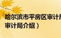 哈尔滨市平房区审计局（关于哈尔滨市平房区审计局介绍）