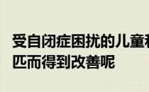 受自闭症困扰的儿童和家庭是否会因为接触马匹而得到改善呢