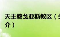 天主教戈亚斯教区（关于天主教戈亚斯教区简介）