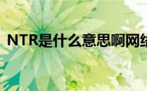 NTR是什么意思啊网络（ntr是什么意思啊）