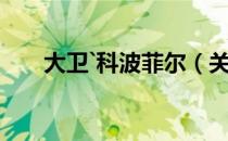 大卫`科波菲尔（关于大卫`科波菲尔）