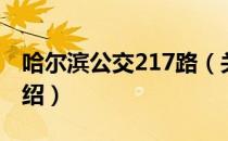 哈尔滨公交217路（关于哈尔滨公交217路介绍）