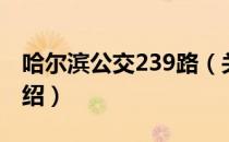 哈尔滨公交239路（关于哈尔滨公交239路介绍）