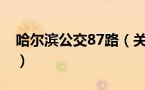 哈尔滨公交87路（关于哈尔滨公交87路介绍）