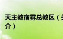 天主教宿雾总教区（关于天主教宿雾总教区简介）