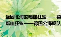 坐困北海的嗜血狂鲨——德国公海舰队*（关于坐困北海的嗜血狂鲨——德国公海舰队*简介）