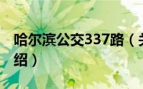 哈尔滨公交337路（关于哈尔滨公交337路介绍）