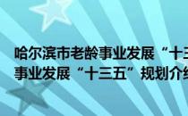 哈尔滨市老龄事业发展“十三五”规划（关于哈尔滨市老龄事业发展“十三五”规划介绍）