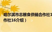 哈尔滨市志粮食供销合作社16（关于哈尔滨市志粮食供销合作社16介绍）