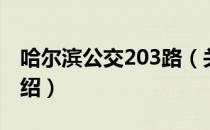 哈尔滨公交203路（关于哈尔滨公交203路介绍）