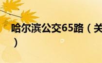 哈尔滨公交65路（关于哈尔滨公交65路介绍）