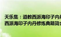 天乐集：道教西派海印子内丹修炼典籍（关于天乐集：道教西派海印子内丹修炼典籍简介）