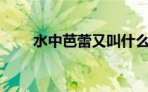 水中芭蕾又叫什么（水上芭蕾又称）