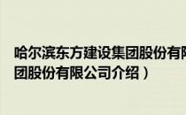 哈尔滨东方建设集团股份有限公司（关于哈尔滨东方建设集团股份有限公司介绍）