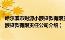 哈尔滨市财源小额贷款有限责任公司（关于哈尔滨市财源小额贷款有限责任公司介绍）