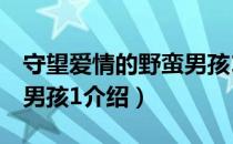 守望爱情的野蛮男孩1（关于守望爱情的野蛮男孩1介绍）