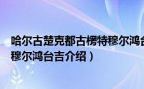 哈尔古楚克都古楞特穆尔鸿台吉（关于哈尔古楚克都古楞特穆尔鸿台吉介绍）