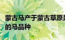 蒙古马产于蒙古草原是我国分布最广数量最多的马品种