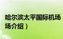 哈尔滨太平国际机场（关于哈尔滨太平国际机场介绍）