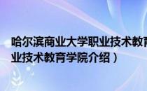 哈尔滨商业大学职业技术教育学院（关于哈尔滨商业大学职业技术教育学院介绍）