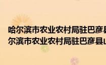 哈尔滨市农业农村局驻巴彦县山后乡跃进村工作队（关于哈尔滨市农业农村局驻巴彦县山后乡跃进村工作队介绍）