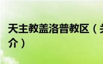 天主教盖洛普教区（关于天主教盖洛普教区简介）