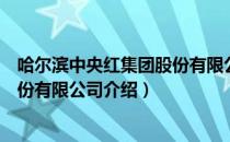 哈尔滨中央红集团股份有限公司（关于哈尔滨中央红集团股份有限公司介绍）