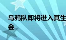 乌鸦队即将进入其生存的第25场NFL选秀大会