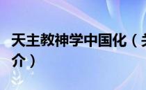 天主教神学中国化（关于天主教神学中国化简介）