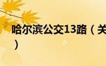 哈尔滨公交13路（关于哈尔滨公交13路介绍）