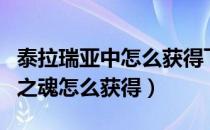 泰拉瑞亚中怎么获得飞翔之魂（泰拉瑞亚飞翔之魂怎么获得）