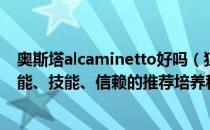 奥斯塔alcaminetto好吗（狙击奥斯塔的精英化、等级、潜能、技能、信赖的推荐培养程度分别是什么）