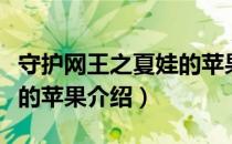 守护网王之夏娃的苹果（关于守护网王之夏娃的苹果介绍）