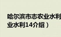 哈尔滨市志农业水利14（关于哈尔滨市志农业水利14介绍）