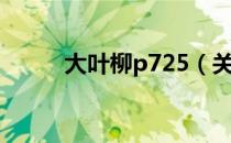 大叶柳p725（关于大叶柳p725）