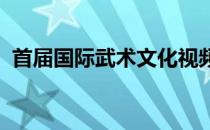 首届国际武术文化视频大赛以视频方式进行