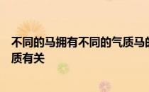 不同的马拥有不同的气质马的工作能力和使用价值也与此气质有关