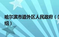 哈尔滨市道外区人民政府（关于哈尔滨市道外区人民政府介绍）