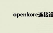 openkore连接设置（openkore）