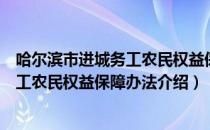 哈尔滨市进城务工农民权益保障办法（关于哈尔滨市进城务工农民权益保障办法介绍）