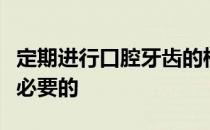 定期进行口腔牙齿的检查对于马匹健康是非常必要的