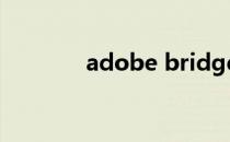 adobe bridge cs5干什么的