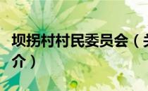 坝拐村村民委员会（关于坝拐村村民委员会简介）