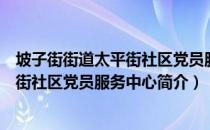 坡子街街道太平街社区党员服务中心（关于坡子街街道太平街社区党员服务中心简介）