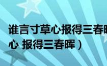 谁言寸草心报得三春晖表达的情感（谁言寸草心 报得三春晖）