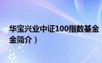 华宝兴业中证100指数基金（关于华宝兴业中证100指数基金简介）