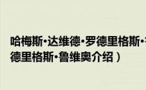 哈梅斯·达维德·罗德里格斯·鲁维奥（关于哈梅斯·达维德·罗德里格斯·鲁维奥介绍）