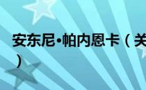 安东尼·帕内恩卡（关于安东尼·帕内恩卡介绍）