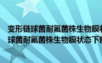 变形链球菌耐氟菌株生物膜状态下糖代谢研究（关于变形链球菌耐氟菌株生物膜状态下糖代谢研究介绍）